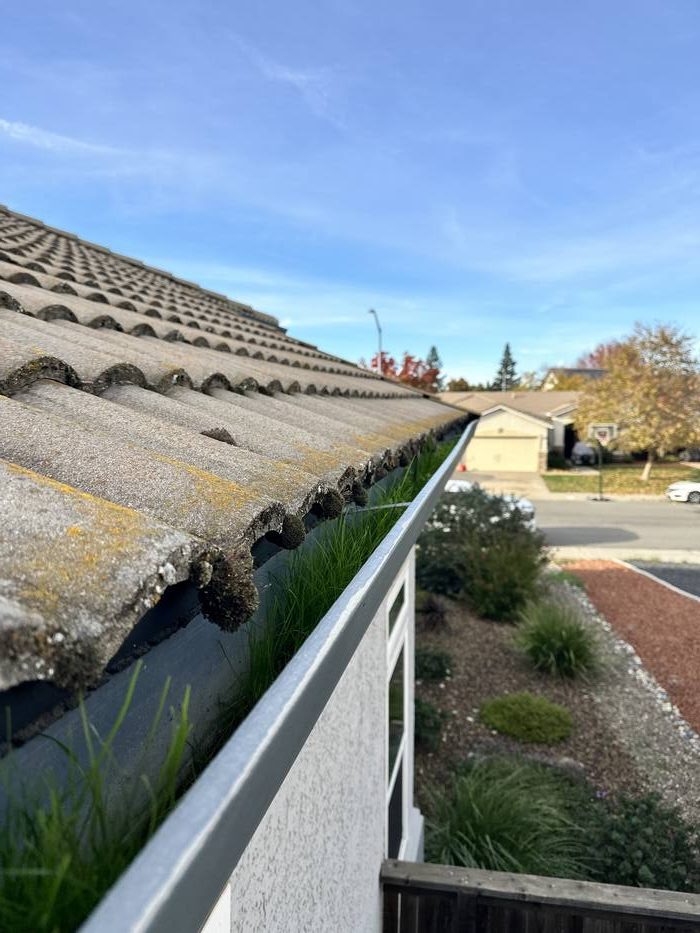 Gutter before pressure washing